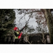 M18 FOPH-CSA PILARKA DO GAŁĘZI MILWAUKEE 4932464957