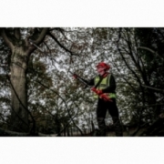 M18 FOPH-CSA PILARKA DO GAŁĘZI MILWAUKEE 4932464957