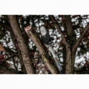 M18 FOPH-CSA PILARKA DO GAŁĘZI MILWAUKEE 4932464957