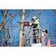 M18 FCHS-121B PIŁA ŁAŃCUCHOWA MILWAUKEE 4933464223