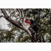 M18 FCHS-121B PIŁA ŁAŃCUCHOWA MILWAUKEE 4933464223